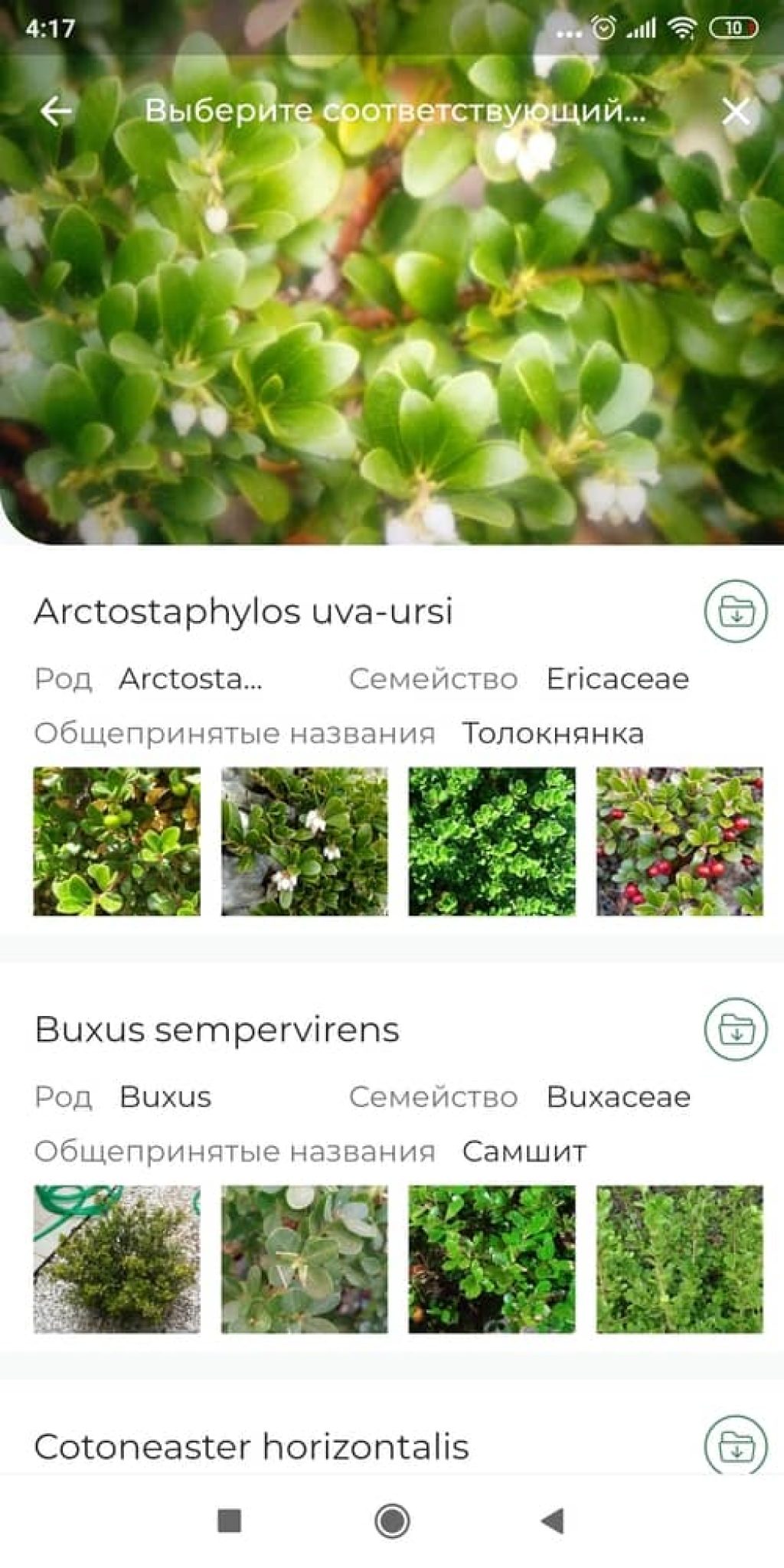 Приложение по определению растений по фото на русском